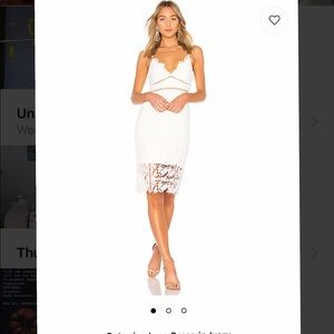 Bardot Botanical Ivory Lace Dress